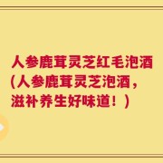 人参鹿茸灵芝红毛泡酒(人参鹿茸灵芝泡酒，滋补养生好味道！)