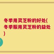 冬季用灵芝粉的好处(冬季服用灵芝粉的益处)