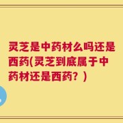 灵芝是中药材么吗还是西药(灵芝到底属于中药材还是西药？)