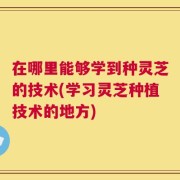 在哪里能够学到种灵芝的技术(学习灵芝种植技术的地方)