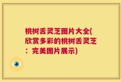 桃树舌灵芝图片大全(欣赏多彩的桃树舌灵芝：完美图片展示)