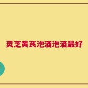 灵芝黄芪泡酒泡酒最好