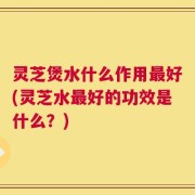灵芝煲水什么作用最好(灵芝水最好的功效是什么？)