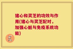 猪心和灵芝的功效与作用(猪心与灵芝配对，加强心脏与免疫系统功能)