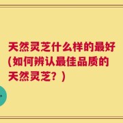 天然灵芝什么样的最好(如何辨认最佳品质的天然灵芝？)