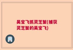 吴宝飞抓灵芝蟹(捕获灵芝蟹的吴宝飞)
