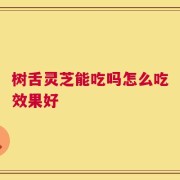 树舌灵芝能吃吗怎么吃效果好