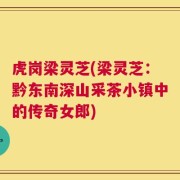 虎岗梁灵芝(梁灵芝：黔东南深山采茶小镇中的传奇女郎)