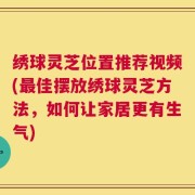绣球灵芝位置推荐视频(最佳摆放绣球灵芝方法，如何让家居更有生气)