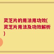 灵芝片的用法用功效(灵芝片用法及功效解析)