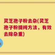 灵芝孢子粉去杂(灵芝孢子粉提纯方法，有效去除杂重)