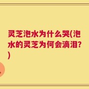 灵芝泡水为什么哭(泡水的灵芝为何会滴泪？)