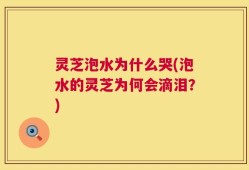 灵芝泡水为什么哭(泡水的灵芝为何会滴泪？)