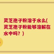 灵芝孢子粉溶于水么(灵芝孢子粉能够溶解在水中吗？)
