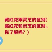 藏红花跟灵芝的区别(藏红花和灵芝的区别，你了解吗？)
