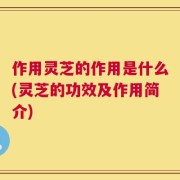 作用灵芝的作用是什么(灵芝的功效及作用简介)