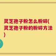 灵芝孢子粉怎么粉碎(灵芝孢子粉的粉碎方法)