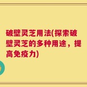 破壁灵芝用法(探索破壁灵芝的多种用途，提高免疫力)