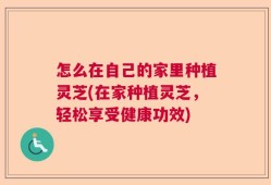 怎么在自己的家里种植灵芝(在家种植灵芝，轻松享受健康功效)