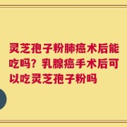 灵芝孢子粉肺癌术后能吃吗？乳腺癌手术后可以吃灵芝孢子粉吗