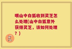 喂山中白狐收到灵芝怎么处理(山中白狐意外获得灵芝，该如何处理？)