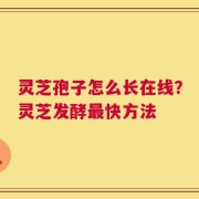 灵芝孢子怎么长在线？灵芝发酵最快方法