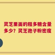 灵芝里面的粗多糖含量多少？灵芝孢子粉密度