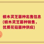椴木灵芝菌种出售信息(椴木灵芝菌种销售，优质花菇菌种供应)