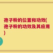 孢子粉的位置和功效(孢子粉的功效及其应用)