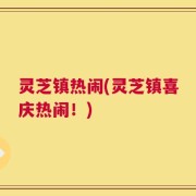 灵芝镇热闹(灵芝镇喜庆热闹！)