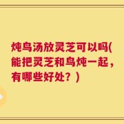 炖鸟汤放灵芝可以吗(能把灵芝和鸟炖一起，有哪些好处？)