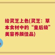 给灵芝上色(灵芝：草本食材中的“皇后级”美容养颜佳品)
