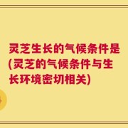灵芝生长的气候条件是(灵芝的气候条件与生长环境密切相关)