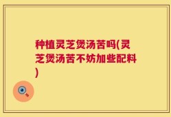 种植灵芝煲汤苦吗(灵芝煲汤苦不妨加些配料)