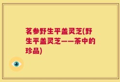 茗参野生平盖灵芝(野生平盖灵芝——茶中的珍品)