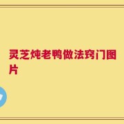 灵芝炖老鸭做法窍门图片