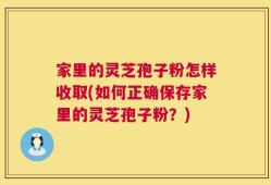 家里的灵芝孢子粉怎样收取(如何正确保存家里的灵芝孢子粉？)