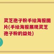 灵芝孢子粉手绘海报图片(手绘海报展现灵芝孢子粉的益处)