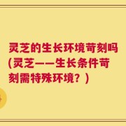 灵芝的生长环境苛刻吗(灵芝——生长条件苛刻需特殊环境？)
