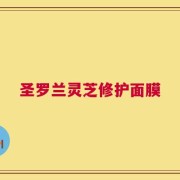 圣罗兰灵芝修护面膜