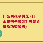 什么叫孢子灵芝 (什么是孢子灵芝？完整介绍及功效解析)
