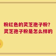 粉红色的灵芝孢子粉？灵芝孢子粉是怎么样的