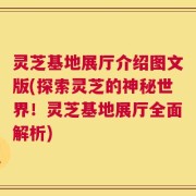 灵芝基地展厅介绍图文版(探索灵芝的神秘世界！灵芝基地展厅全面解析)