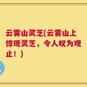 云雾山灵芝(云雾山上惊现灵芝，令人叹为观止！)