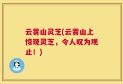 云雾山灵芝(云雾山上惊现灵芝，令人叹为观止！)