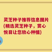 灵芝种子推荐信息图片(精选灵芝种子，赏心悦目让您放心种植)