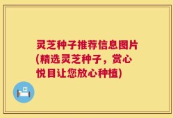 灵芝种子推荐信息图片(精选灵芝种子，赏心悦目让您放心种植)