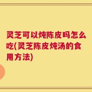 灵芝可以炖陈皮吗怎么吃(灵芝陈皮炖汤的食用方法)