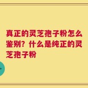 真正的灵芝孢子粉怎么鉴别？什么是纯正的灵芝孢子粉