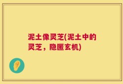 泥土像灵芝(泥土中的灵芝，隐匿玄机)